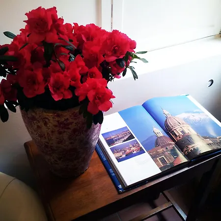 New Paradise Guest house Rome