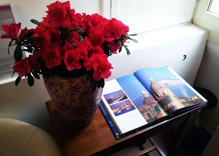 New Paradise Maison d'hôtes Rome